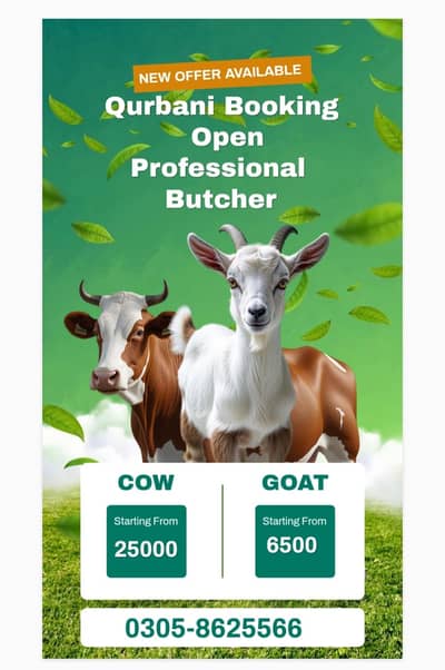 Professional butcher, Kisab, Kasai , Butcher, Qasai,