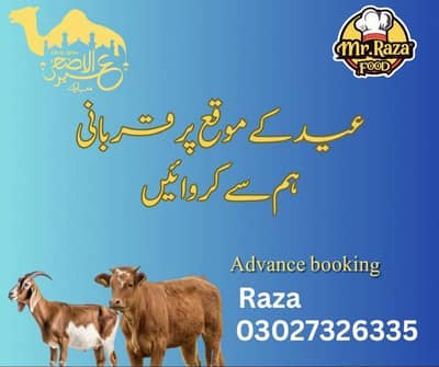 Qurbani krwany k liye rabta