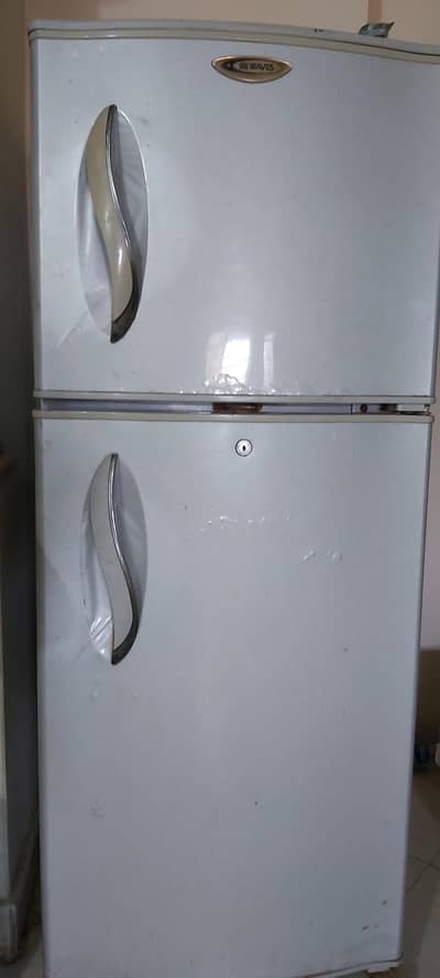 waves two doors fridge