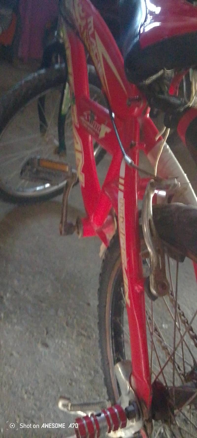 bicycle 5