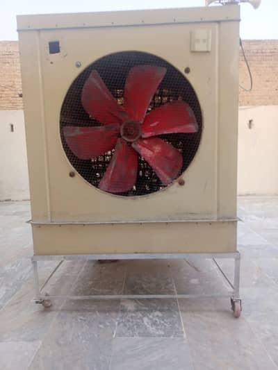 Cooler Jumbo size
