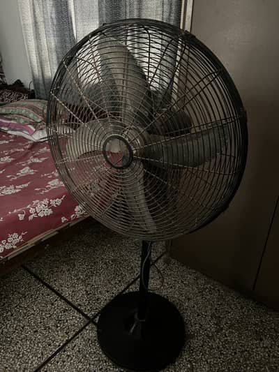 Pedestal Fan for Sale