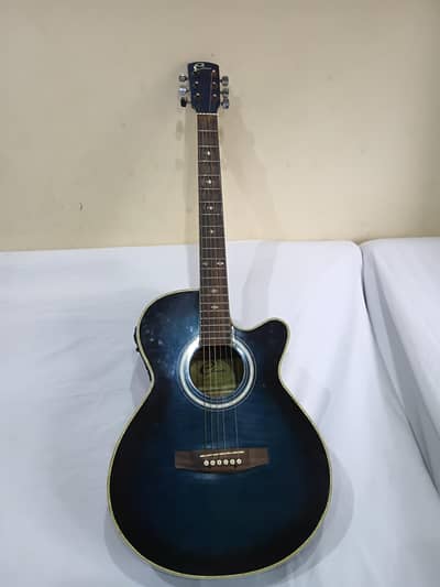 Eleca Guitar
