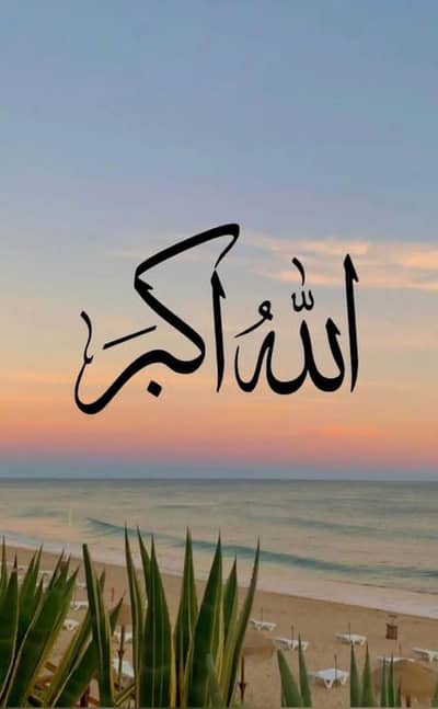 I am profct online work. all