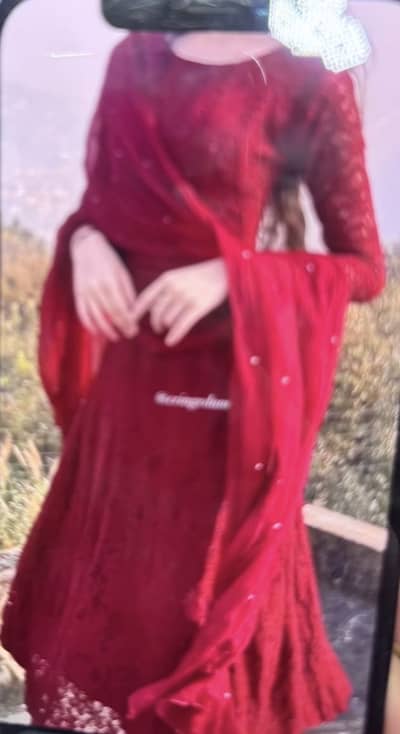 Elegant anarkali