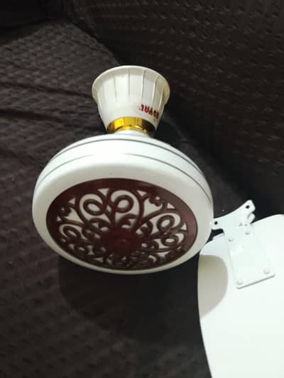 Royal fan