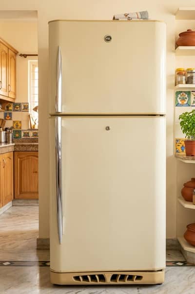 PEL FRIDGE