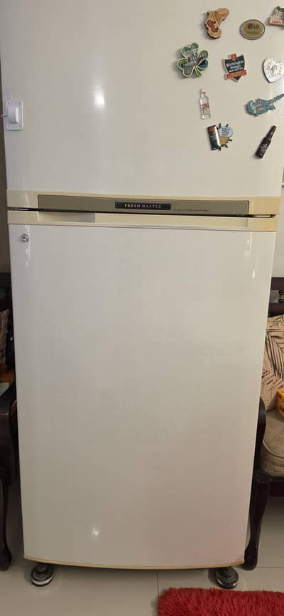 LG Imported Full Size Refrigerator