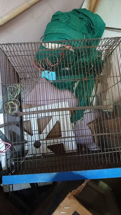 2 Bird Cages for Sale