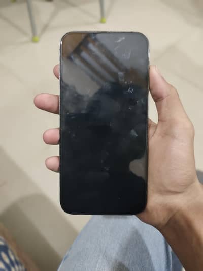 13 pro max non pta jv 256gb