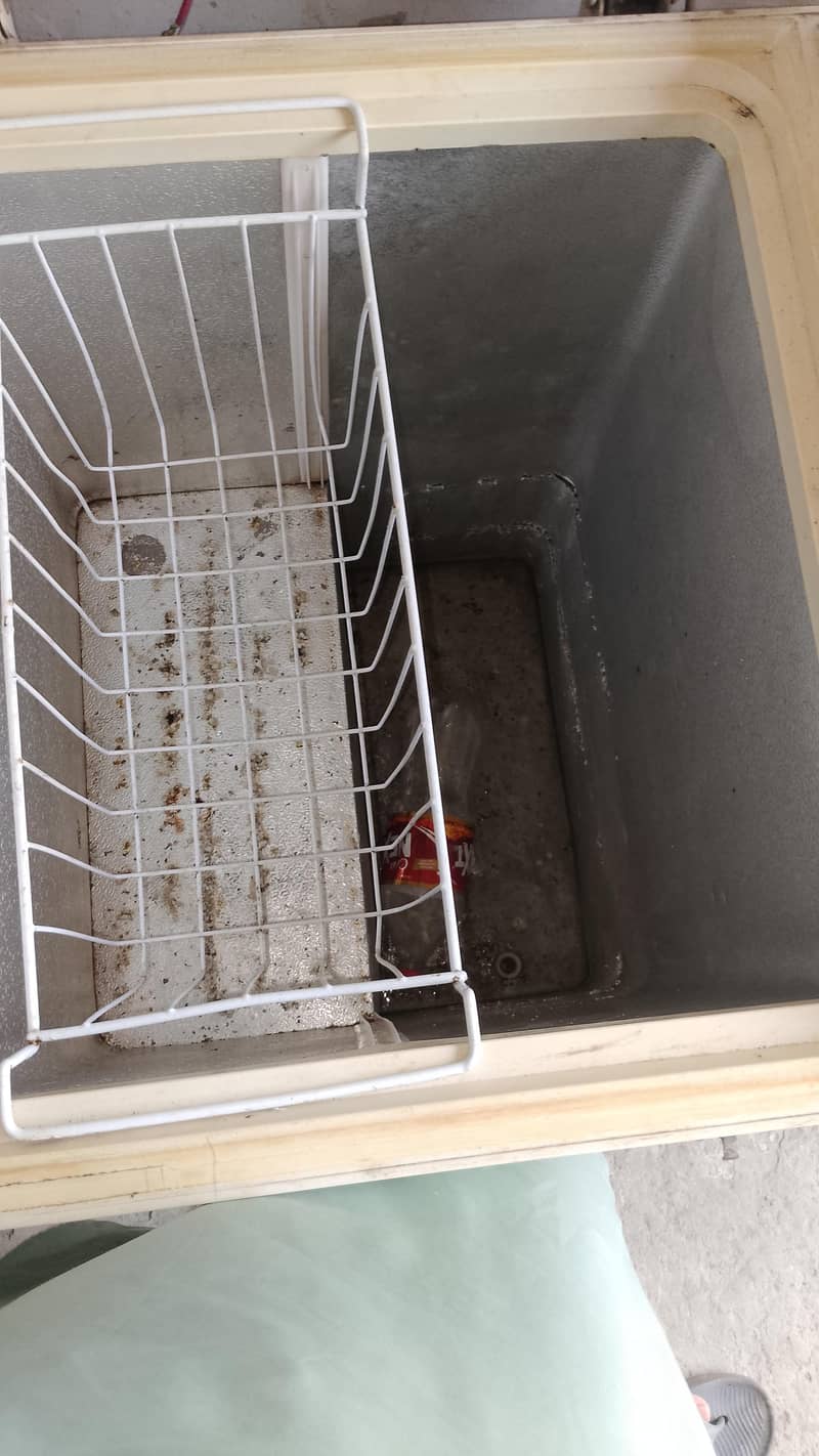 freezer 1
