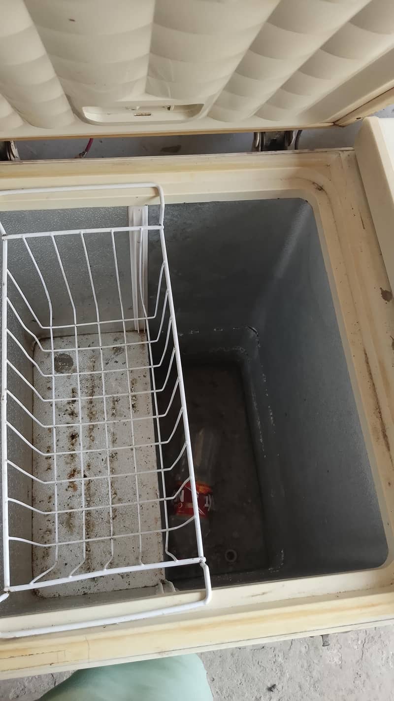 freezer 4