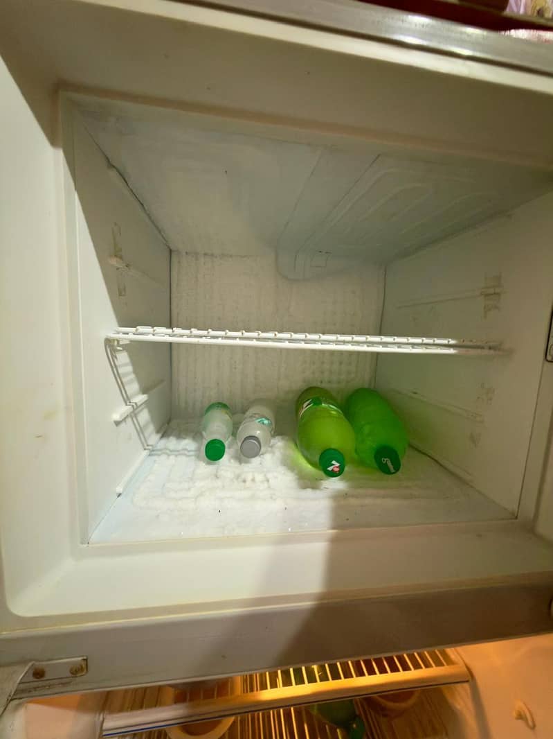frige 1