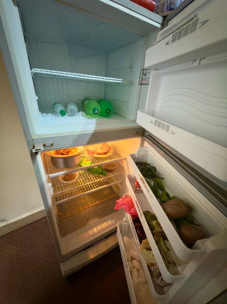 frige 2