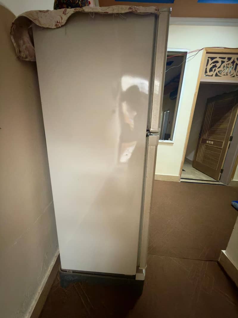 frige 4