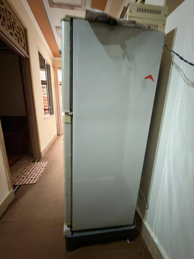 frige 5