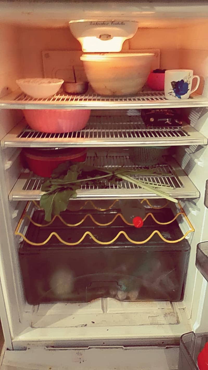 fridge dowlance 1