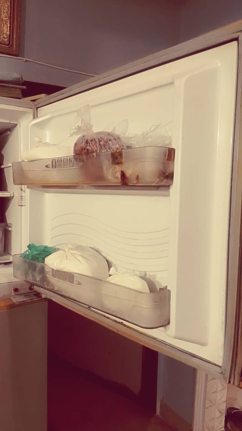 fridge dowlance 2
