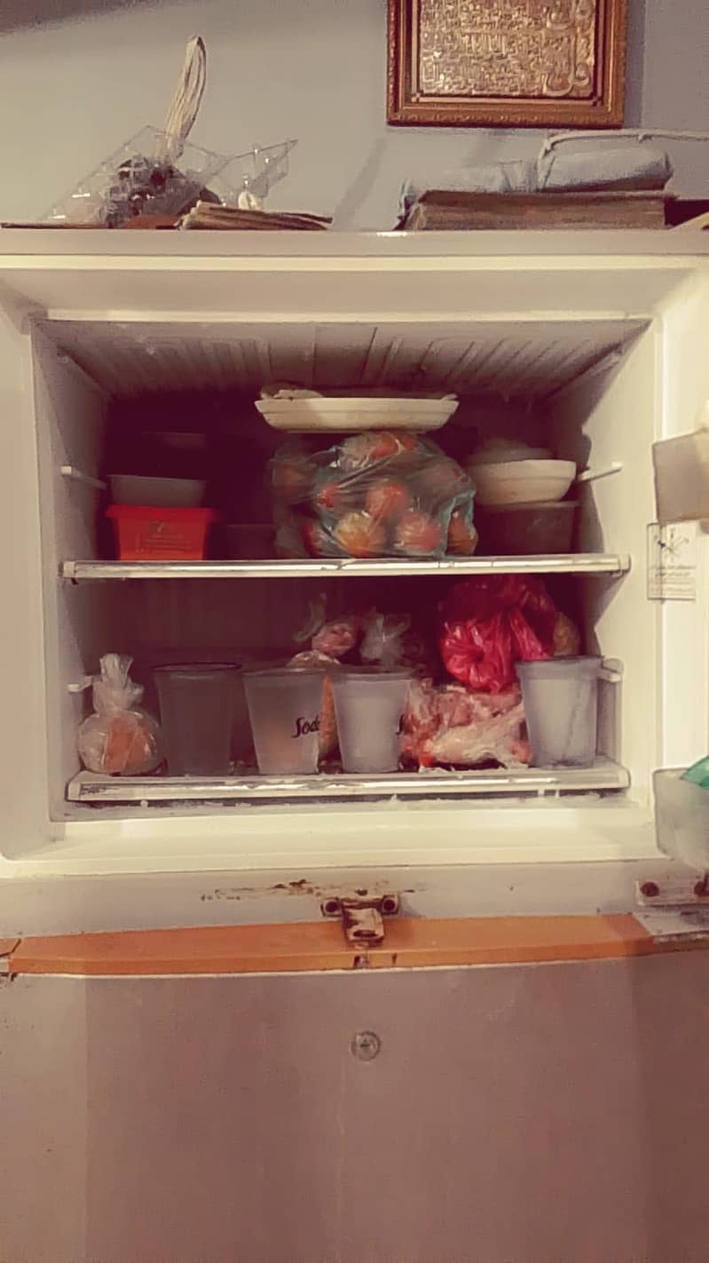 fridge dowlance 3
