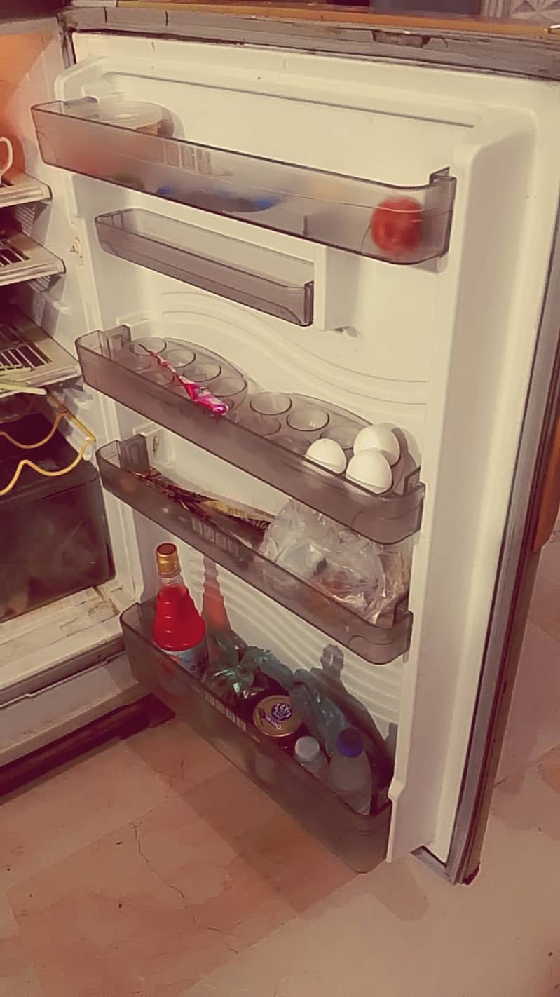 fridge dowlance 4