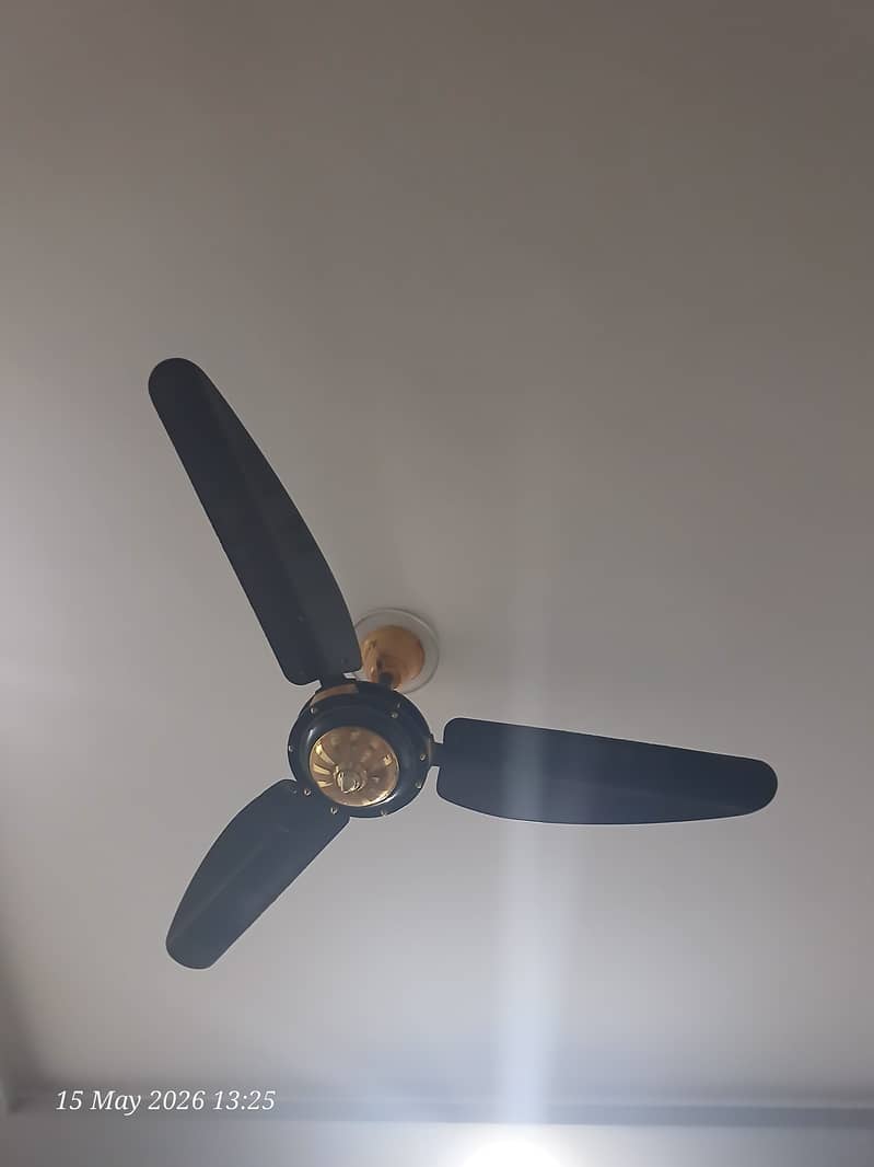 Ceiling Fans 0