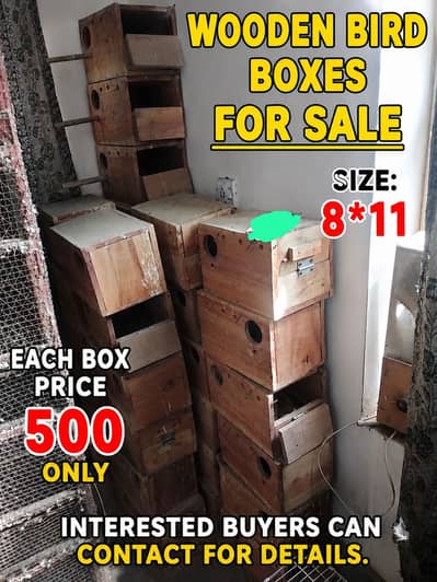 Love birds boxes for sale
