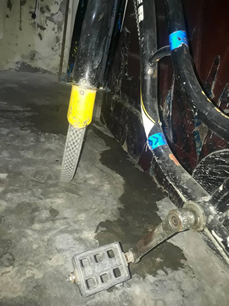 Bicycle 3