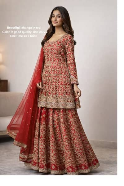 Bridal Red Lehenga Heavy Embroidered | Used Only Once | Wedding Dress