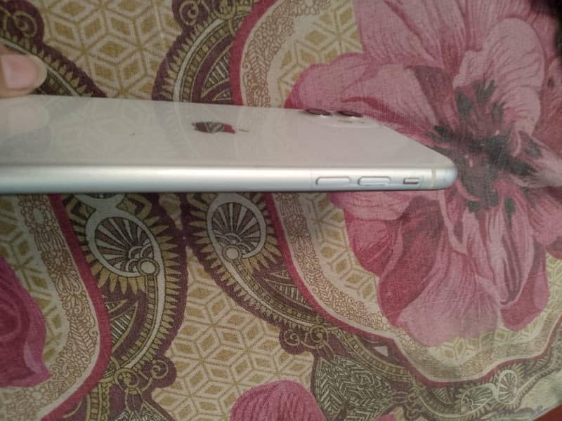 iPhone 11 1