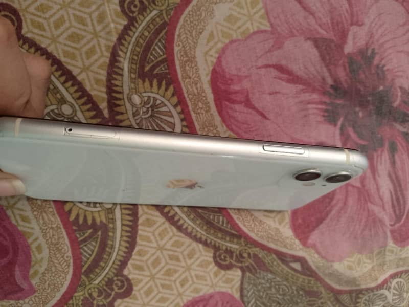 iPhone 11 4