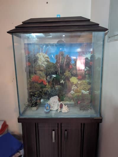 fish aquarium good condition