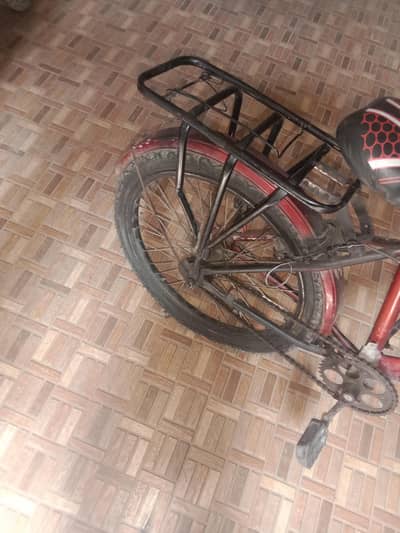 sport cycle