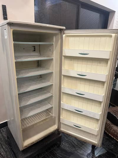 vertical freezer