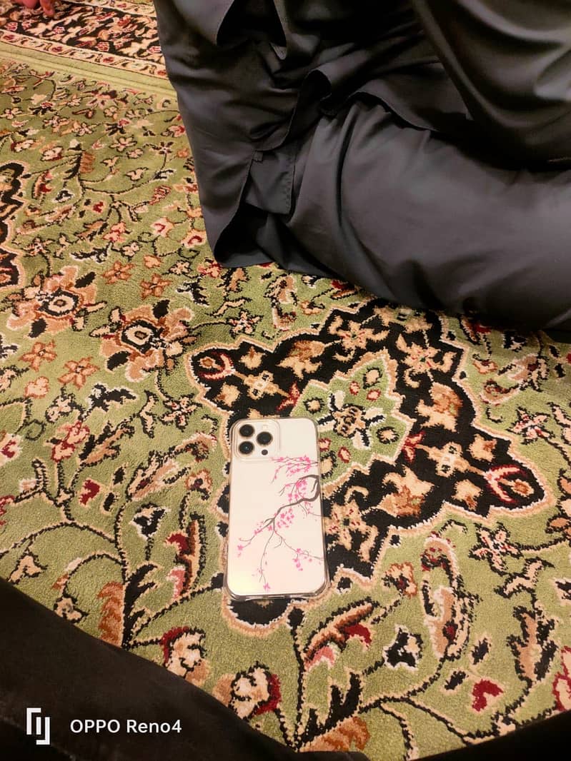 IPhone 13 Pro Max 2