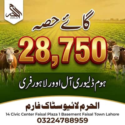 Qurbani hissa ( baka/ Bull ) - ijtamai qurbani | Bachra | Vacha |Goat