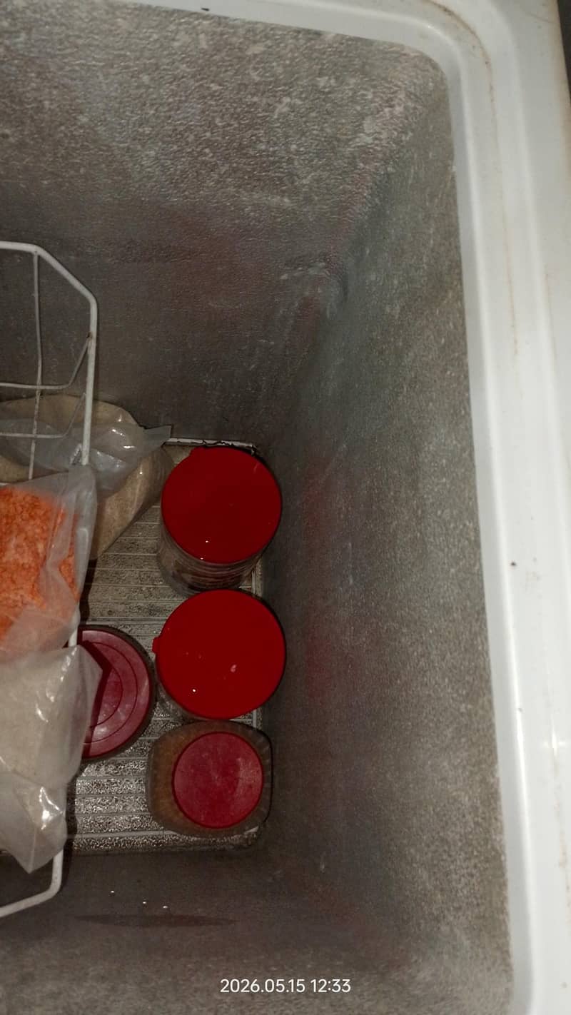 Waves Deep freezer 4