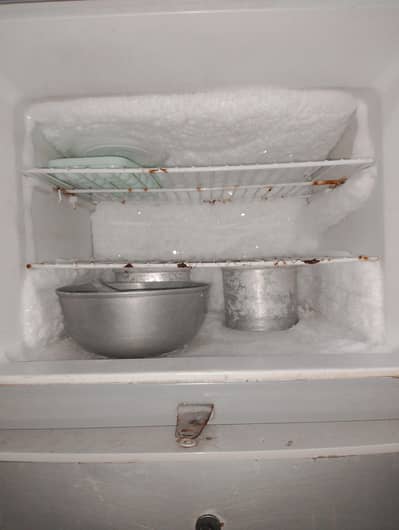 fridge for sale