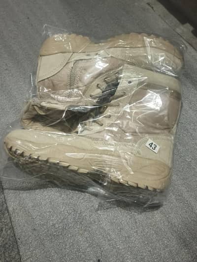 Sport Shoes