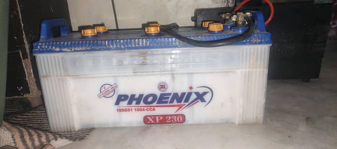 Phoenix 230