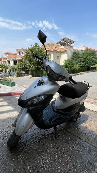 American Scooty