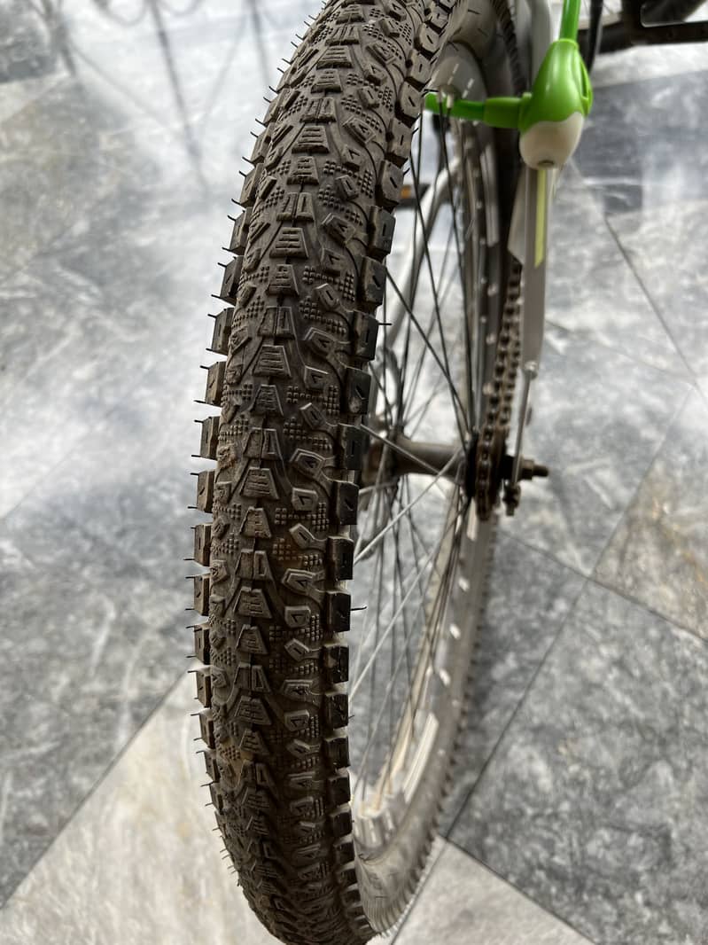 BDF bicycle 2