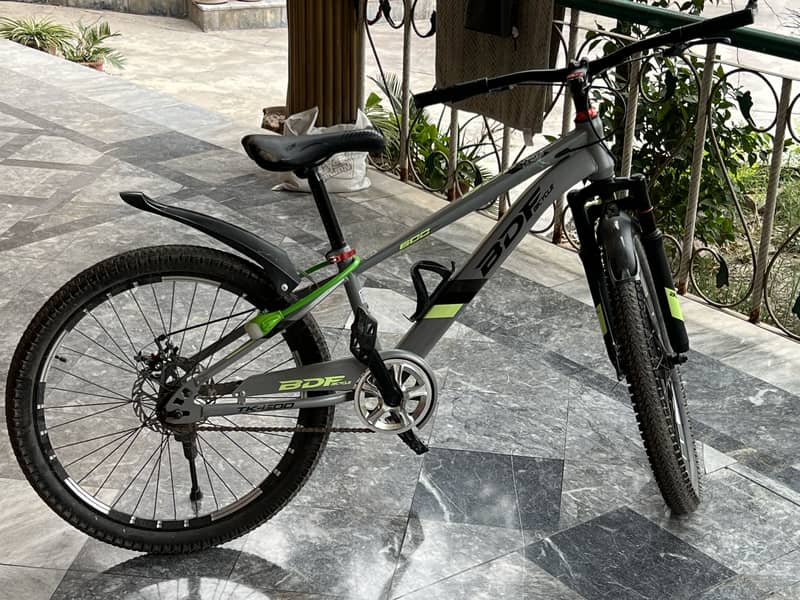 BDF bicycle 3