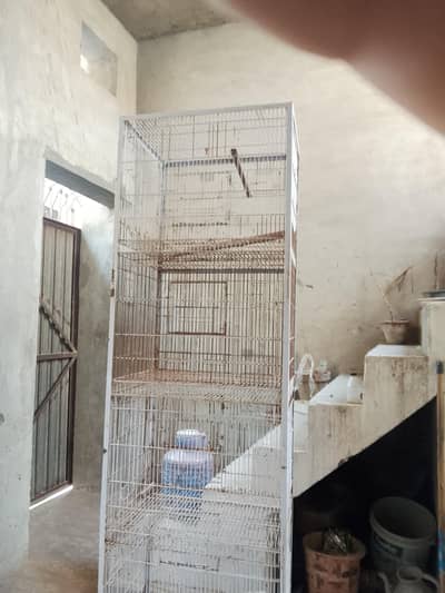 1.5 1.5 2 ft beautiful cage Ali bhai white colour four portion