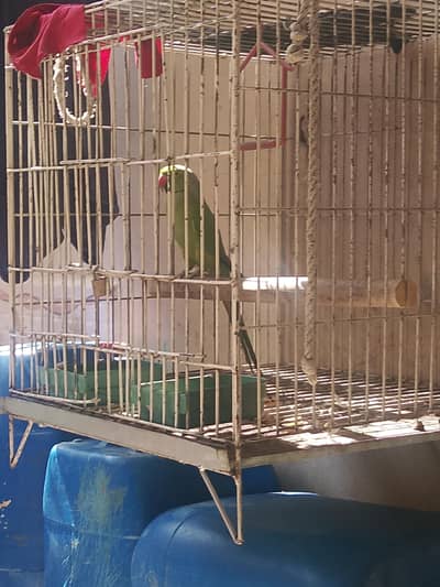 Abdul haji sector 5E 130 ka buttoa 8