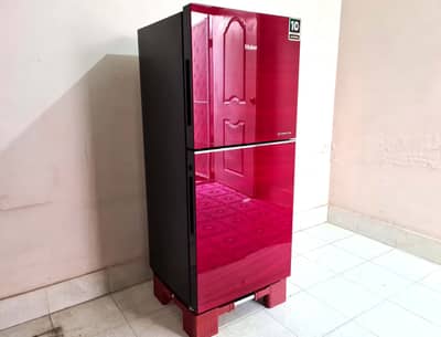 Haier Refrigerator Fridge Deep Freezer With 10 Year Company Warranty