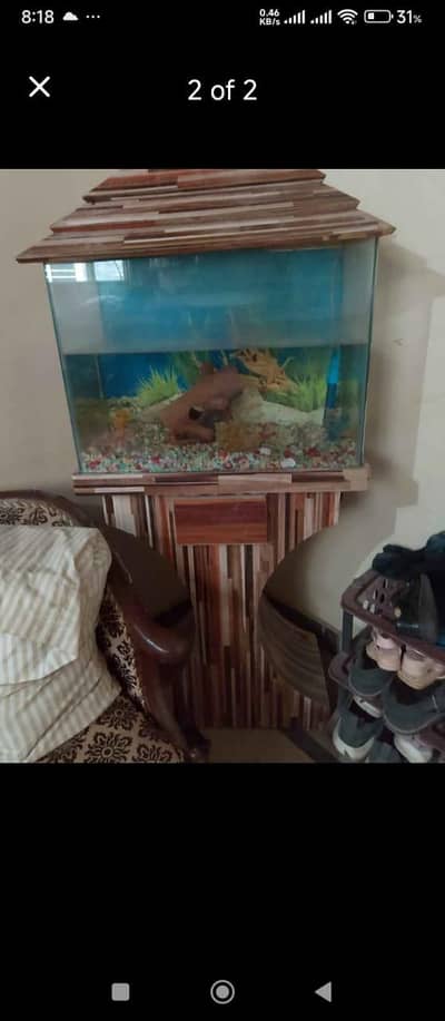 fish Ecouriume