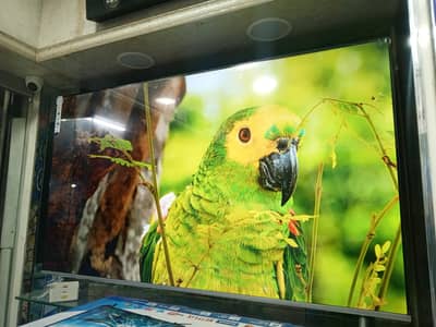 55 inch Samsung Led Tv New Model 3 Year Warranty O3O2O482663