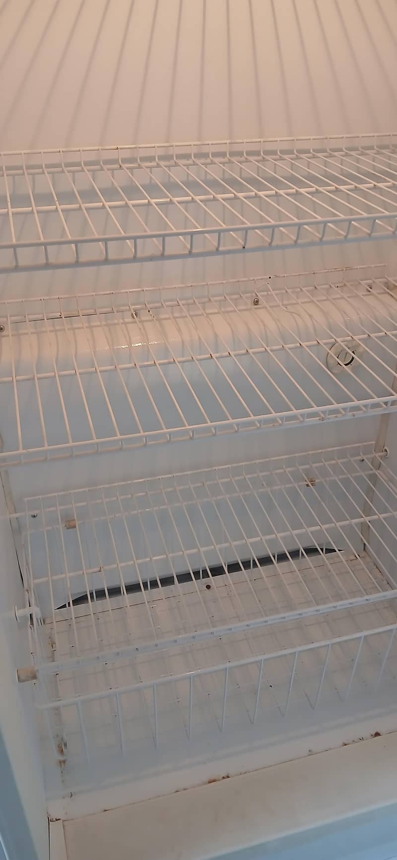 Freezer 4