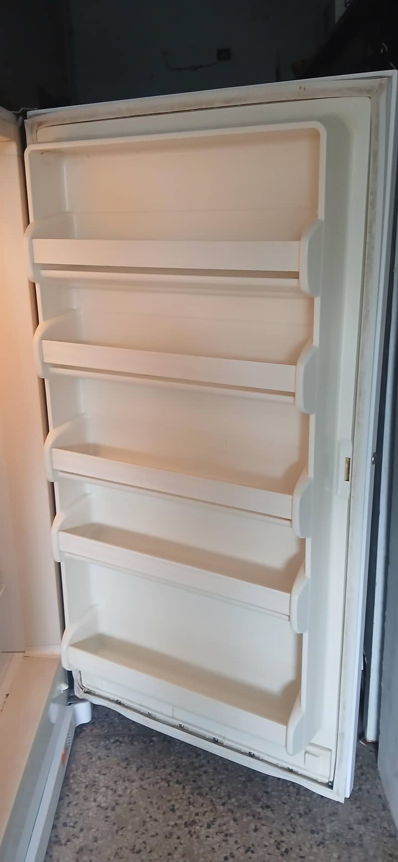 Freezer 5