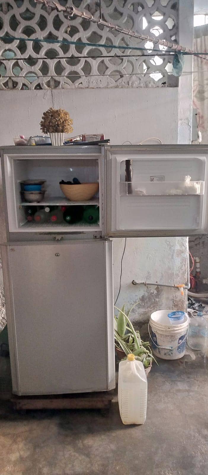 Pel fridge 1